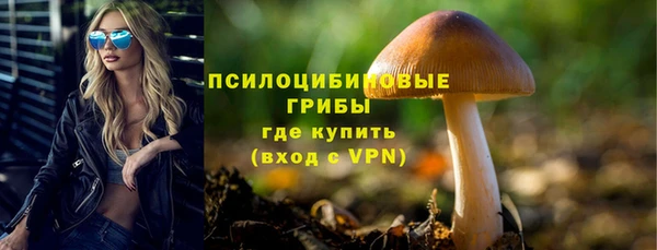 прущие крисы Магас