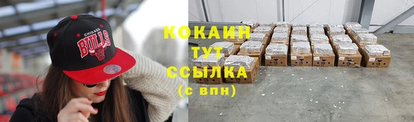 молекула духа Майский