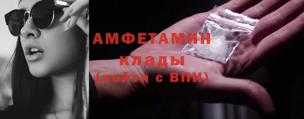 молекула духа Майский
