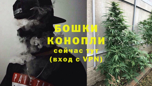 твердый Лиски